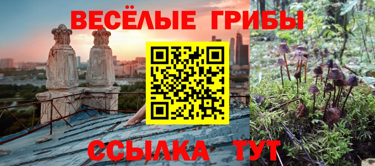 Псилоцибиновые грибы ЛСД  Вход с VPN  Избербаш 